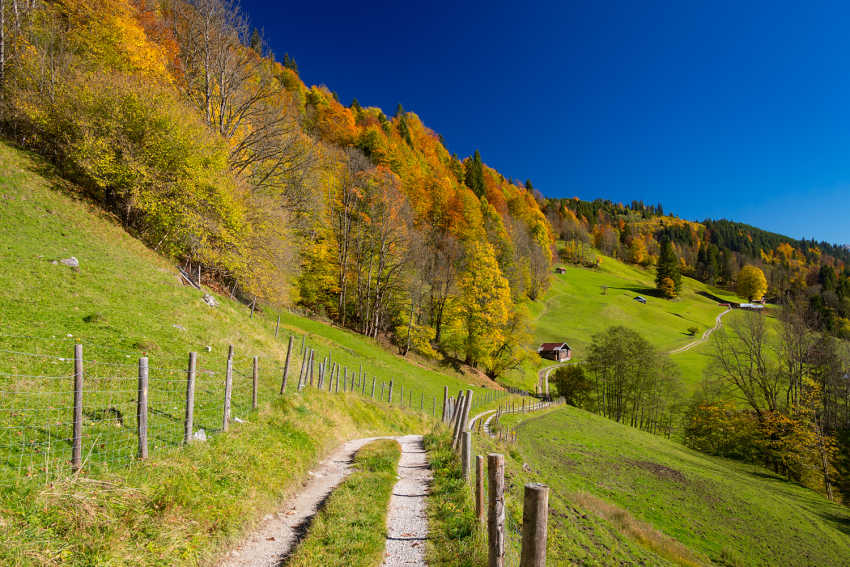 © Marc Hohenleitner